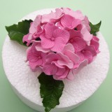 ��ǰ�̹���