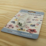 ��ǰ �̹���